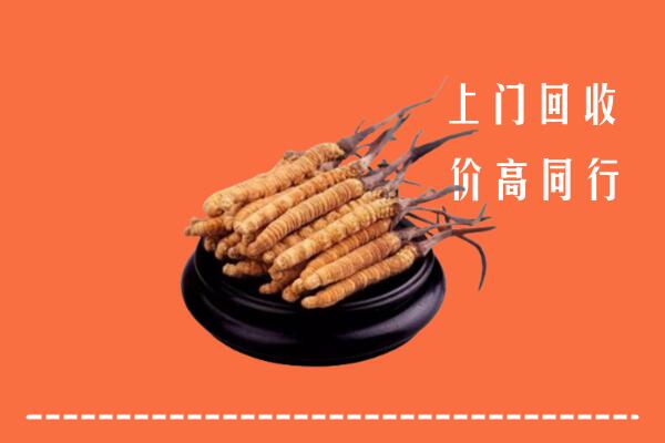 高价求购：连云港市回收散虫草