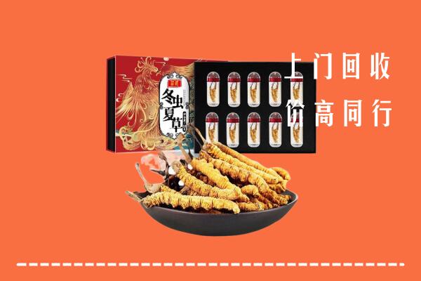 连云港市回收虫草